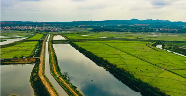 灌區圖片